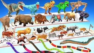 Which Animals vs Dinosaurs vs Mammoth Elephant vs Reptiles Speed Race Run Zigzag Down Course ARBS [upl. by Annod467]