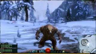 Guild Wars 2  All Norn Transformations and skills HD [upl. by Davidde200]