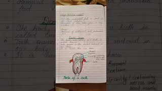 Dental cariesClass 10 biology lifeprocessclass10 notes [upl. by Remos749]