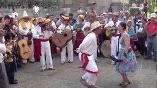 X Encuentro Nacional de Mariachi Tradicional quotLos Tíosquot [upl. by Suivatnom]