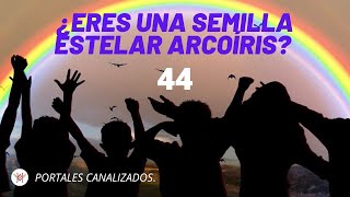 Niños Arcoíris Significado Espiritual y Características Únicas 🌈 [upl. by Aowda]