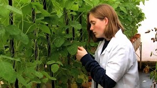 Career Profile Educator amp Agronomist  Catherine Swoboda [upl. by Azerila36]