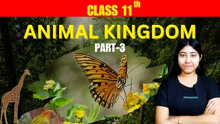 Animal Kingdom  Part 3  Chordates  Biology  Class 11  NCERT  Adhyayanta [upl. by Riker]