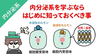 【国試対策】内分泌系（ホルモン）の理解が深まる５つのこと [upl. by Llegna]