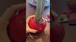 Removing wax from an amaryllis bulb amaryllis bulbs plantgrowth [upl. by Graybill]