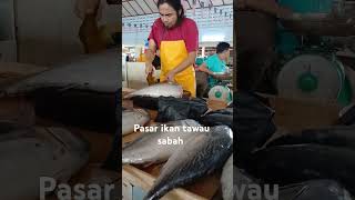 Pasar ikan tawau sabah [upl. by Nerin119]