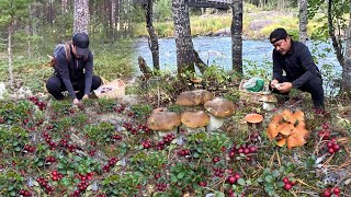 MUSHROOMS AND BERRIES FORAGING SEASON FUNGHI PORCINI SHEEP POLYPORE CHANTERELLES LINGONBERRIES [upl. by Yanaton342]