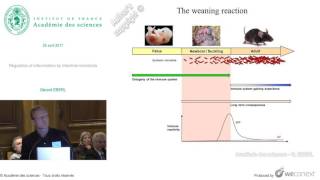 Conférence G EBERL  Regulation of inflammation by intestinal microbiota [upl. by Aikemehs157]