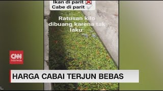 Harga Terjun Bebas Pedagang Buang Setengah Ton Cabai Rawit ke Selokan [upl. by Boorer673]