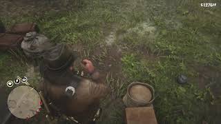 Red Dead Redemption 2 100 Walkthrough Chapter 2 Part 364 Gang Hideout 1 Shade Belle Lemoyne Raiders [upl. by Lanod]