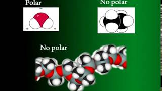 Origen y características de la química orgánica [upl. by Diamante]