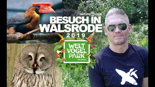 Mein Besuch im Vogelpark Walsrode 2019 [upl. by Niltiak]