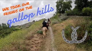 Epic Gallop Hills Adventure with Friends [upl. by Emogene]