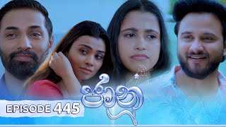 Jaanu  Episode 445  20241107  ITN [upl. by Lednyc]