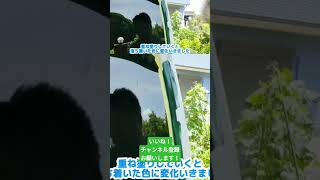 6 軽バン 塗装 艶消し塗装 整備 タカラ塗料 カンペハピオ エブリイ 車 全塗装 [upl. by Serge]