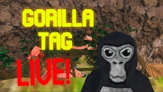 gorilla tag live stream [upl. by Nesnaj]