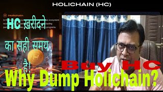 why Dump Hoichainअभी Holichain को खरीदने का सही समय है [upl. by Deck]