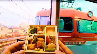 Riding Japans Luxury Sleeper Train Cassiopeia  Tokyo  Morioka [upl. by Elboa]