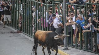 Encierros de Fernán Caballero 2018 [upl. by Silenay983]