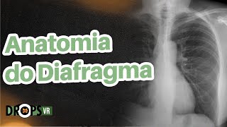 ANATOMIA DO DIAFRAGMA  COMO IDENTIFICAR NO RX I VOCÊ RADIOLOGISTA [upl. by Westlund188]