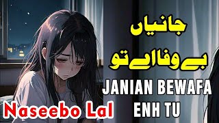 Naseebo Lal Janian Bewafa Enh Tu  LoFi MIX Slowed Reverb [upl. by Eduino]