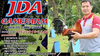 Lets Visit The Farm Of JDA Gamefarm [upl. by Witkin]