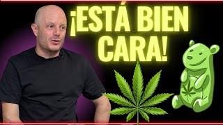 FACUNDO REVELA cuánto le cuesta la marihuana que se fuma [upl. by Pape779]