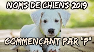 🐕Idées noms de chiens 2019 commençant par quotPquot🐕 [upl. by Latricia]