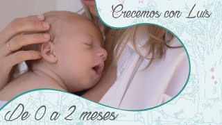 Desarrollo del bebé de 0 a 2 meses [upl. by Fiorenza]