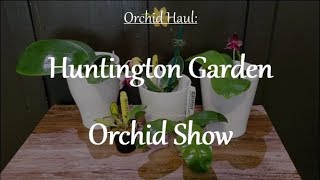 Orchid Haul Huntington Garden Orchid Show [upl. by Anohr]