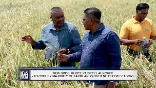 NEW GRDB 18 RICE VARIETY LAUNCHED [upl. by Kaenel]