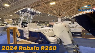 Robalo R250 [upl. by Aryl]