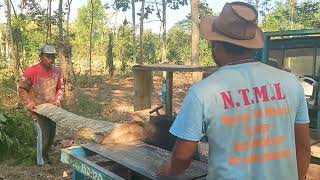 menggesek kayu waru pocok di buat kaso bahan bangunan kandang [upl. by Shields]