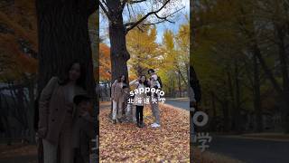 📍sapporo Hokkaido University🍁🤎japan hokkaido university family autumn [upl. by Ecilahc]