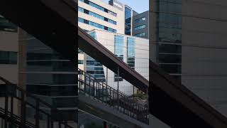 BEAUTIFUL OFFICES OF HYDERABAD HiTech City hyderabad lifestyle corporatelife corporate [upl. by Karwan]