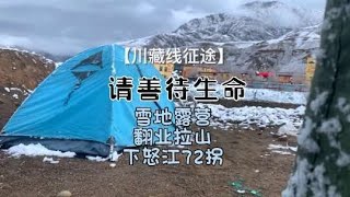 好美的雪 好可爱的动物们 好美的景 业拉山 下怒江72拐 [upl. by Eleda]