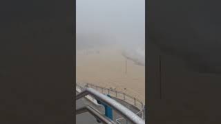 Rabbitohs training under the fog at Coogee Beach [upl. by Sebastian]