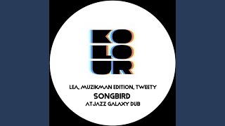 Songbird Atjazz Galaxy Dub [upl. by Lohman]