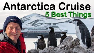 The 5 Best And Unexpected Things About An Antarctica Cruise [upl. by Enrica]