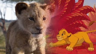 Lion King Music amp Ambience  Instrumental Themes and African Ambience [upl. by Hansen427]