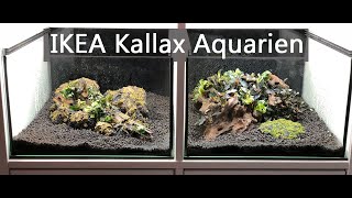 IKEA Kallax Aquarien Anlage [upl. by Nirrat223]