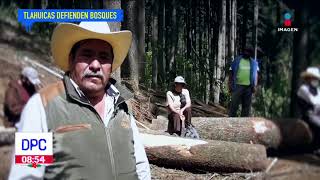 Tlahuicas dedican su vida a defender los bosques en Edomex [upl. by Ridglee]