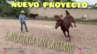 NUEVO PROYECTO  Jinetes y Caballos de Ganadería San Cayetano  Capítulo 1 [upl. by Airol]