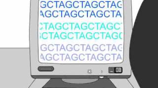 How to Sequence a Genome 11 Working Draft Sequence [upl. by Nesline720]