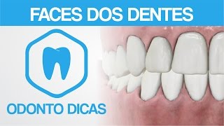 FACES DOS DENTES  ODONTO DICAS [upl. by Keener]