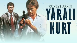 Yaralı Kurt Türk Filmi  FULL  CÜNEYT ARKIN  AHMET MEKİN [upl. by Sualocin]