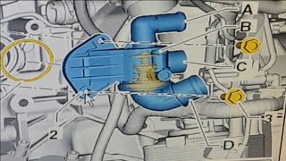 Vw Passat 20 TDI Common Rail 2015 Thermostat Replacement [upl. by Enitnemelc]