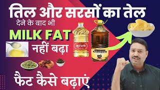 तिल और सरसों का तेल देने पर भी MILK FAT नहीं बढ़ा तो गाय भैंस के दूध में फैट कैसे बढ़ाए 😇 [upl. by Nefets912]