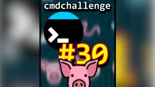 CmdChallenge 30 [upl. by Anelad]