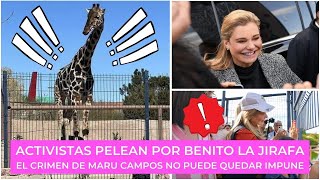 ¡El delito de Maru Campos no puede quedar impune Activistas pelean por Benito [upl. by Ribak304]